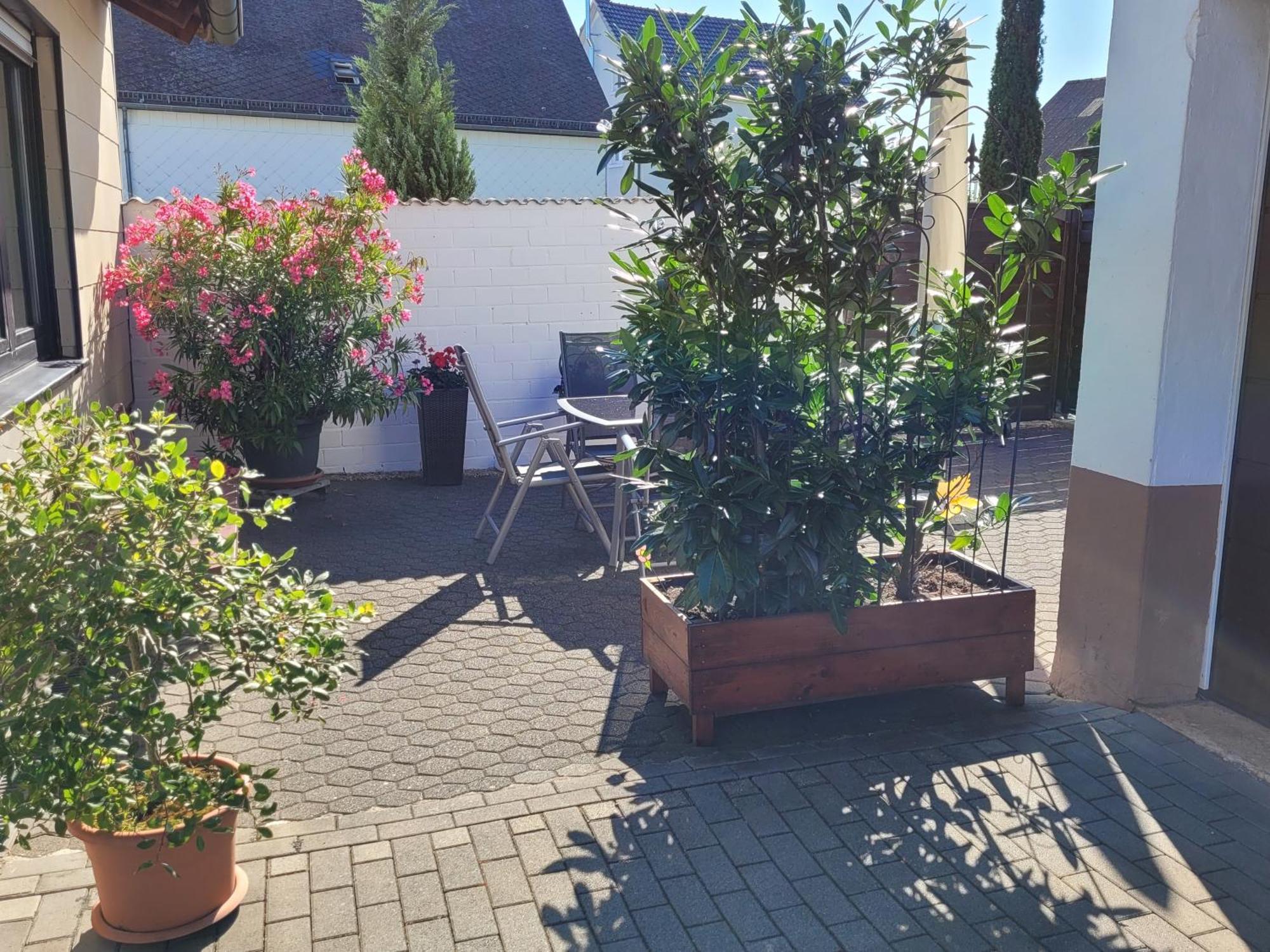 Eifelferienhaus Thome Lissendorf Esterno foto